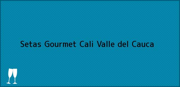 Teléfono, Dirección y otros datos de contacto para Setas Gourmet, Cali, Valle del Cauca, Colombia