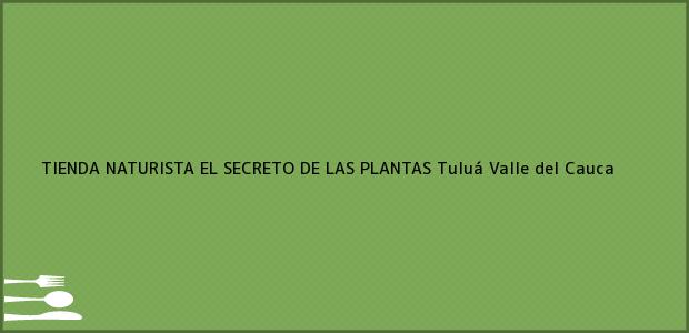 Teléfono, Dirección y otros datos de contacto para TIENDA NATURISTA EL SECRETO DE LAS PLANTAS, Tuluá, Valle del Cauca, Colombia