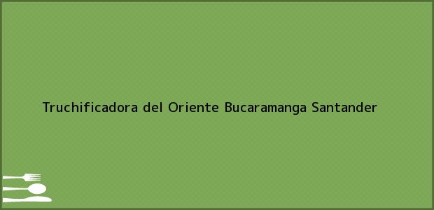 Teléfono, Dirección y otros datos de contacto para Truchificadora del Oriente, Bucaramanga, Santander, Colombia