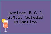 Aceites B.C.J. S.A.S. Soledad Atlántico
