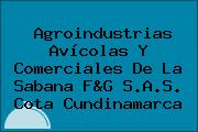 Agroindustrias Avícolas Y Comerciales De La Sabana F&G S.A.S. Cota Cundinamarca
