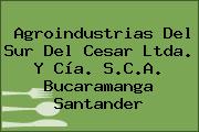 Agroindustrias Del Sur Del Cesar Ltda. Y Cía. S.C.A. Bucaramanga Santander