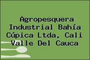 Agropesquera Industrial Bahía Cúpica Ltda. Cali Valle Del Cauca