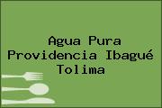 Agua Pura Providencia Ibagué Tolima