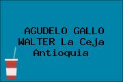AGUDELO GALLO WALTER La Ceja Antioquia