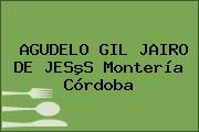 AGUDELO GIL JAIRO DE JESºS Montería Córdoba