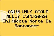 ANTOLINEZ AYALA NELLY ESPERANZA Chinácota Norte De Santander