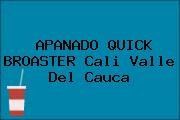APANADO QUICK BROASTER Cali Valle Del Cauca