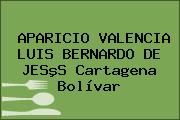 APARICIO VALENCIA LUIS BERNARDO DE JESºS Cartagena Bolívar