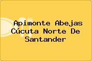 Apimonte Abejas Cúcuta Norte De Santander