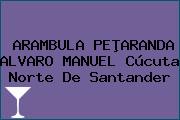 ARAMBULA PEÞARANDA ALVARO MANUEL Cúcuta Norte De Santander