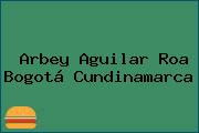 Arbey Aguilar Roa Bogotá Cundinamarca