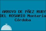 ARROYO DE PÃEZ RUBY DEL ROSARIO Montería Córdoba