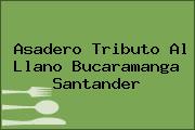Asadero Tributo Al Llano Bucaramanga Santander
