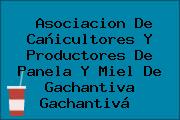 Asociacion De Cañicultores Y Productores De Panela Y Miel De Gachantiva Gachantivá 