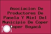 Asociacion De Productores De Panela Y Miel Del Municipio De Coper Coper Boyacá