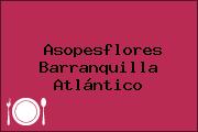Asopesflores Barranquilla Atlántico