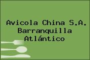 Avicola China S.A. Barranquilla Atlántico