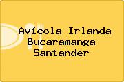 Avícola Irlanda Bucaramanga Santander