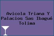 Avicola Triana Y Palacios Sas Ibagué Tolima