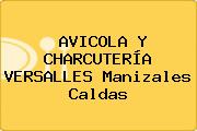 Ver avicola y charcuteria versalles manizales caldas AVICOLA Y CHARCUTERÍA VERSALLES Manizales Caldas
