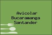 Avicolar Bucaramanga Santander