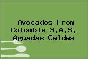 Avocados From Colombia S.A.S. Aguadas Caldas