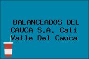 BALANCEADOS DEL CAUCA S.A. Cali Valle Del Cauca