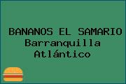 BANANOS EL SAMARIO Barranquilla Atlántico