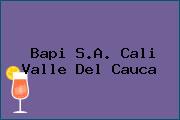 Bapi S.A. Cali Valle Del Cauca