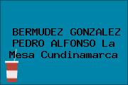 Ver bermudez gonzalez pedro alfonso la mesa cundinamarca BERMUDEZ GONZALEZ PEDRO ALFONSO La Mesa Cundinamarca