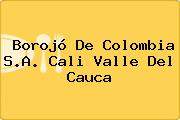 Borojó De Colombia S.A. Cali Valle Del Cauca