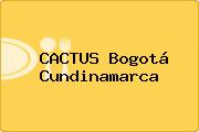 CACTUS Bogotá Cundinamarca