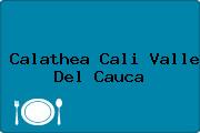 Calathea Cali Valle Del Cauca
