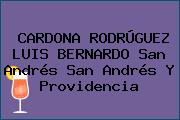 CARDONA RODRÚGUEZ LUIS BERNARDO San Andrés San Andrés Y Providencia