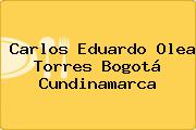 Carlos Eduardo Olea Torres Bogotá Cundinamarca