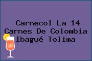 Carnecol La 14 Carnes De Colombia Ibagué Tolima