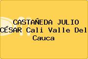 CASTAÑEDA JULIO CÉSAR Cali Valle Del Cauca