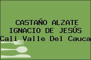 CASTAÑO ALZATE IGNACIO DE JESÚS Cali Valle Del Cauca