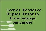 Cediel Monsalve Miguel Antonio Bucaramanga Santander