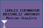 CHOLES FUENMAYOR BRICARLIZ ANTONIO Maicao Guajira