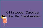 Citricos Cúcuta Norte De Santander