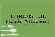 CITRICOS L.H. Itagüí Antioquia