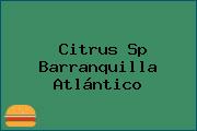 Citrus Sp Barranquilla Atlántico