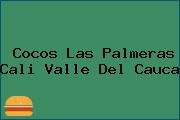 Cocos Las Palmeras Cali Valle Del Cauca