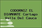 CODORNIZ EL DIAMANTE Cartago Valle Del Cauca