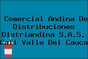 Comercial Andina De Distribuciones Distriandina S.A.S. Cali Valle Del Cauca