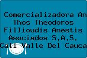 Comercializadora An Thos Theodoros Fillioudis Anestis Asociados S.A.S. Cali Valle Del Cauca