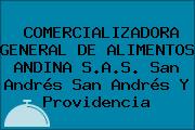 COMERCIALIZADORA GENERAL DE ALIMENTOS ANDINA S.A.S. San Andrés San Andrés Y Providencia