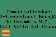 Comercializadora Internacional Borojó De Colombia S.A. Cali Valle Del Cauca